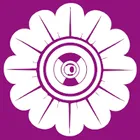 Logo de l'association BALTERNO-PRODUCTION